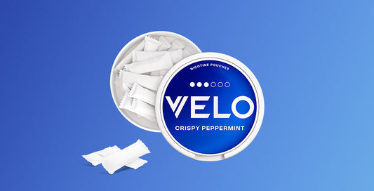 Bolsas de nicotina vs. Vapeo: Comparación completa