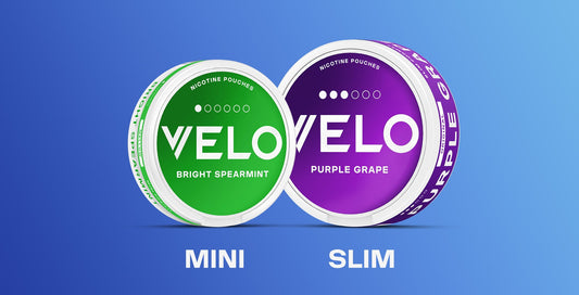 Bolsas de nicotina VELO Mini y Slim: guía completa para elegir la adecuada