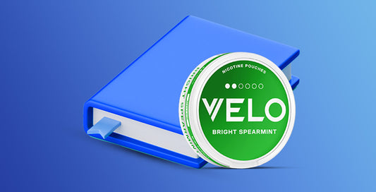 Guía de uso de bolsas de nicotina para adultos